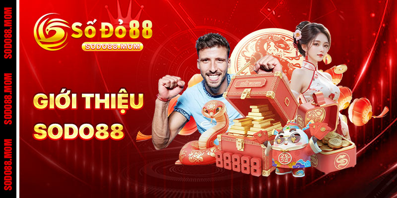 Tổng Quan