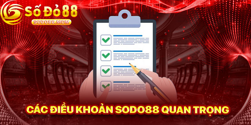 Các Điều Khoản Sodo88 Quan Trọng