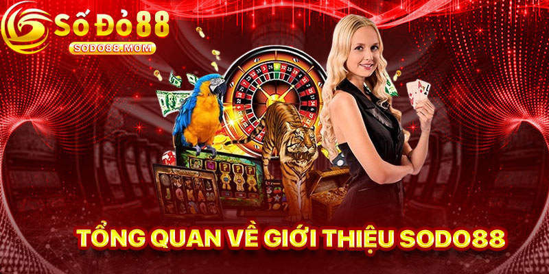 Tổng Quan Về Giới Thiệu Sodo88