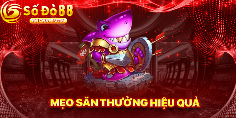 Mẹo Săn Thưởng Hiệu Quả