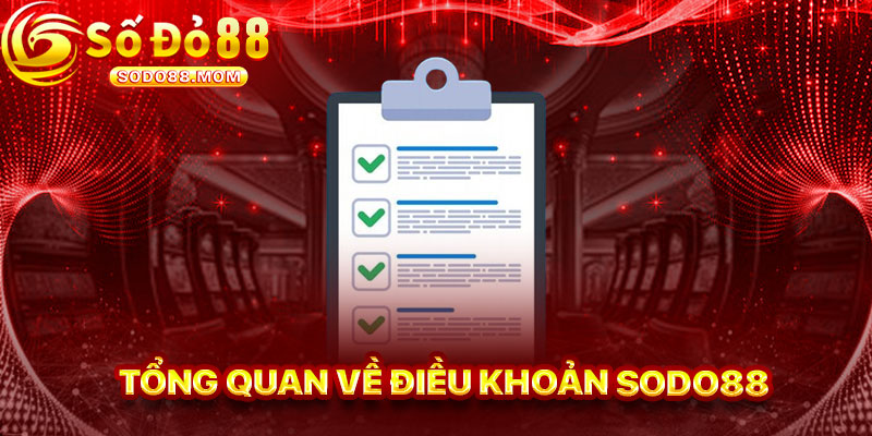 Tổng Quan Về Điều Khoản Sodo88