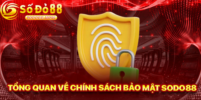 Tổng Quan Về Chính Sách Bảo Mật Sodo88